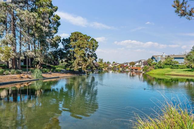 101 Carob Ln, Alameda CA: https://media.crmls.org/mediaz/b0d627c6-a9e1-4d4d-831a-0a872b0d9473.jpg