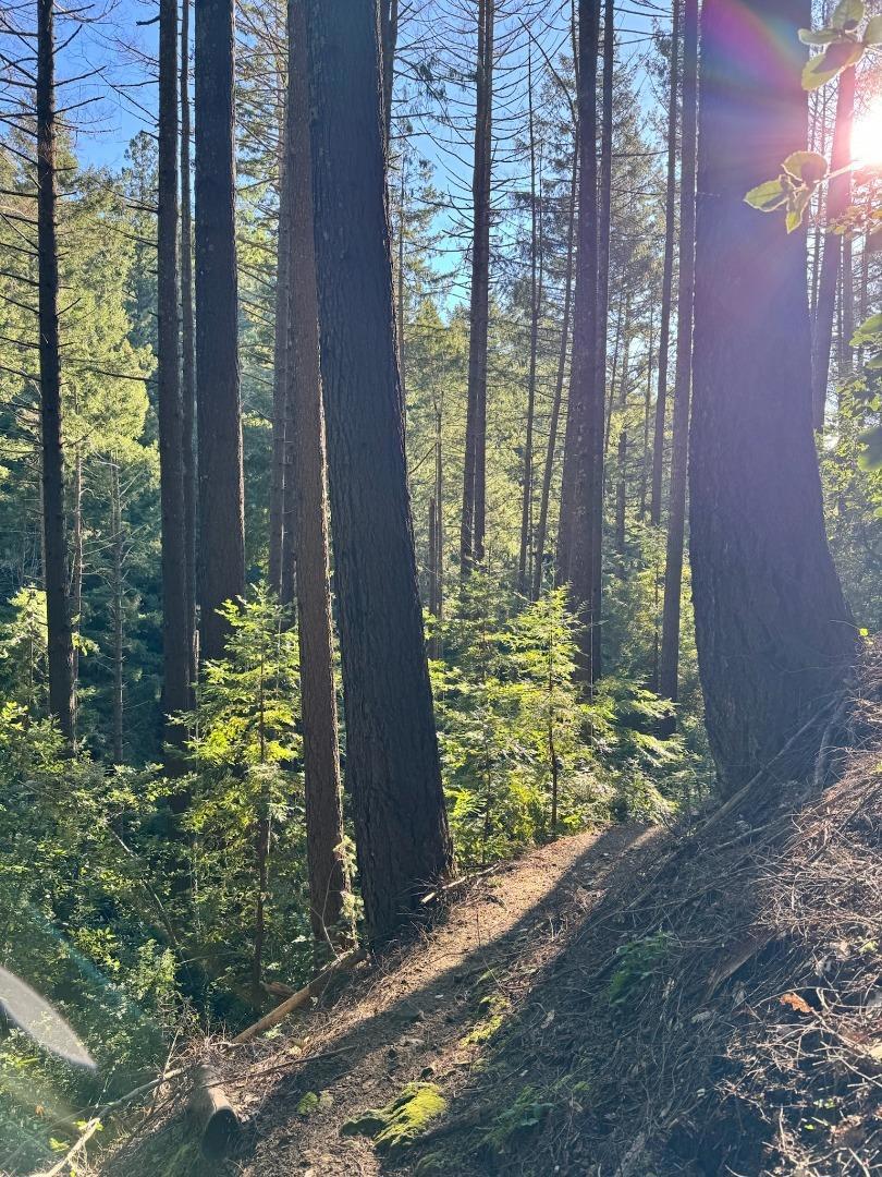 https://media.crmls.org/mediaz/b0d91ccb-88cc-469c-81bf-b2a4700ae092.jpg?preset=X-Large