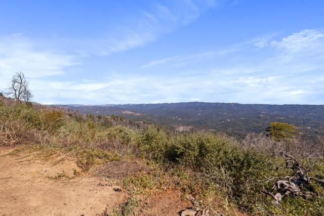 230 Braemoor Drive, Santa Cruz CA: https://media.crmls.org/mediaz/b0dcd9ed-eed1-41ff-9182-2dd8ebb550c8.jpg