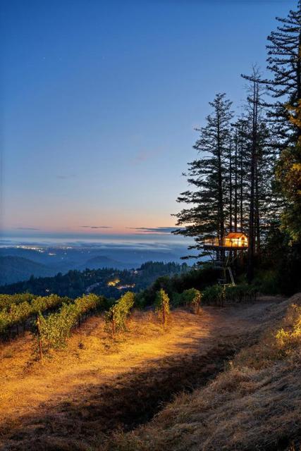 25200 Loma Prieta Avenue, Los Gatos CA: https://media.crmls.org/mediaz/b0ec4107-c408-4c7d-ad6e-4d32a9d4a047.jpg