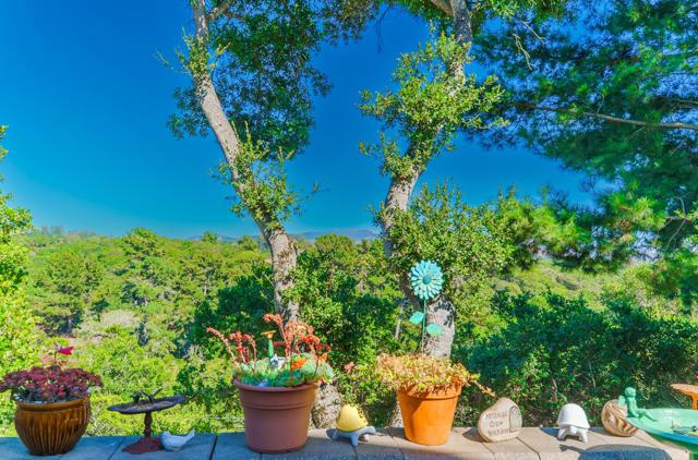 8631 Woodland Heights Court, Salinas CA: https://media.crmls.org/mediaz/b0ec7eff-61fa-4227-9296-5138003a0767.jpg