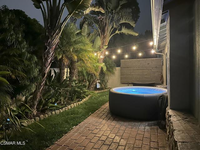 backyard at night