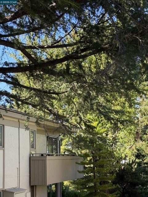 2825 Ptarmigan, Walnut Creek CA: https://media.crmls.org/mediaz/b0fb6d81-a787-47ea-8438-abce2e04a1a4.jpg