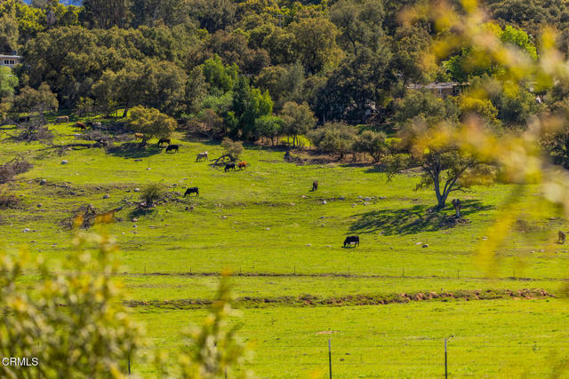 705 Alomar Street, Ojai CA: https://media.crmls.org/mediaz/b0fcd850-172b-4739-b1aa-968b22ee5b12.jpg