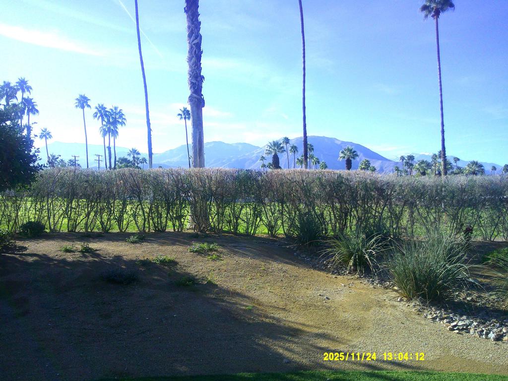 MLS #219139263DA image #4