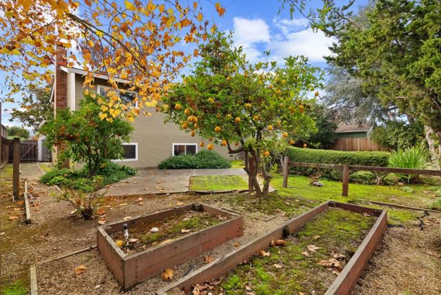 5231 Eileen Drive, San Jose CA: https://media.crmls.org/mediaz/b10364e6-c355-4a02-8162-0d9d5d2d2dab.jpg