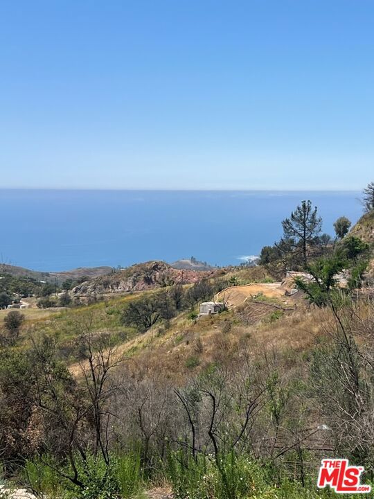 2566 Tuna Canyon Road, Topanga CA: https://media.crmls.org/mediaz/b1043788-4ca1-4e54-918e-b6c411499339.jpg