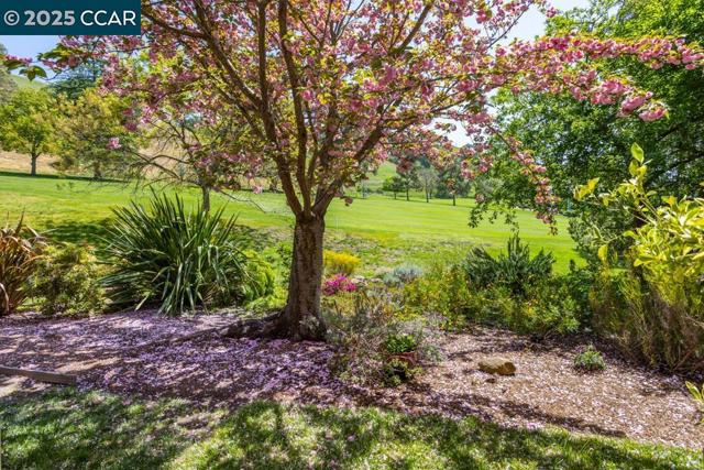 644 Terra Calif Dr, Walnut Creek CA: https://media.crmls.org/mediaz/b105c5ad-8586-4df1-96f9-385207afe3bc.jpg