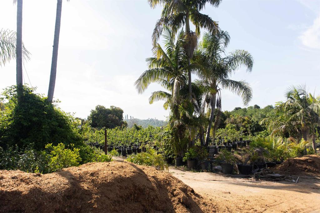 MLS #NDP2505846 image #29