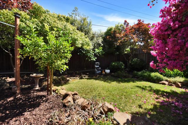 448 Kings Court, Campbell CA: https://media.crmls.org/mediaz/b1104e3e-b2d7-4075-afde-22fa4607721e.jpg