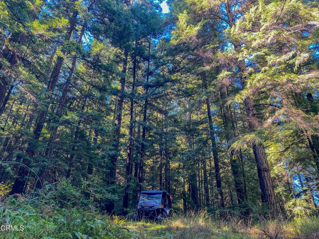 0 Irmulco Road, Willits CA: https://media.crmls.org/mediaz/b1104eeb-769b-4cd2-95f4-59ba88bbb7ae.jpg