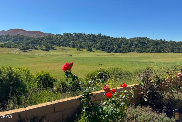 1920 Tiara Drive, Ojai CA: https://media.crmls.org/mediaz/b1128936-3dd7-435d-88d4-515005af6dd0.jpg