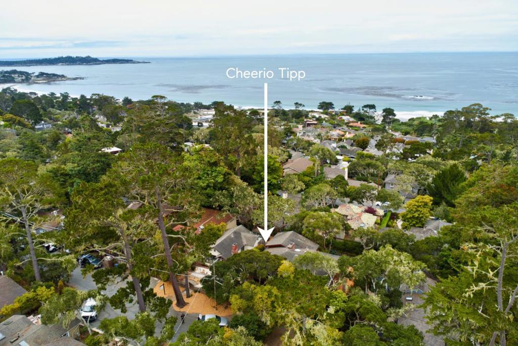 MLS #ML82015058 image #28