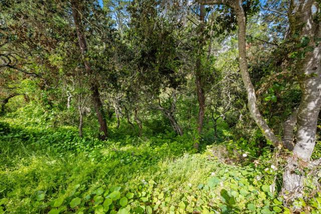 2040 Marsala Circle, Monterey CA: https://media.crmls.org/mediaz/b12d3945-34d7-4b04-84b0-8016d0743639.jpg