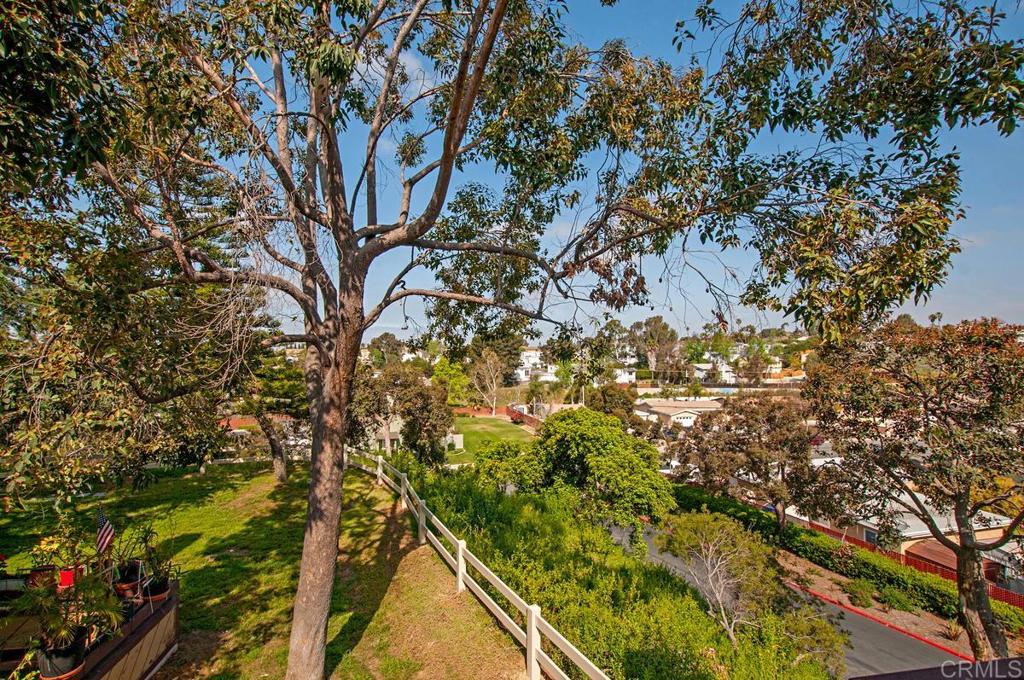 MLS #PTP2509026 image #27