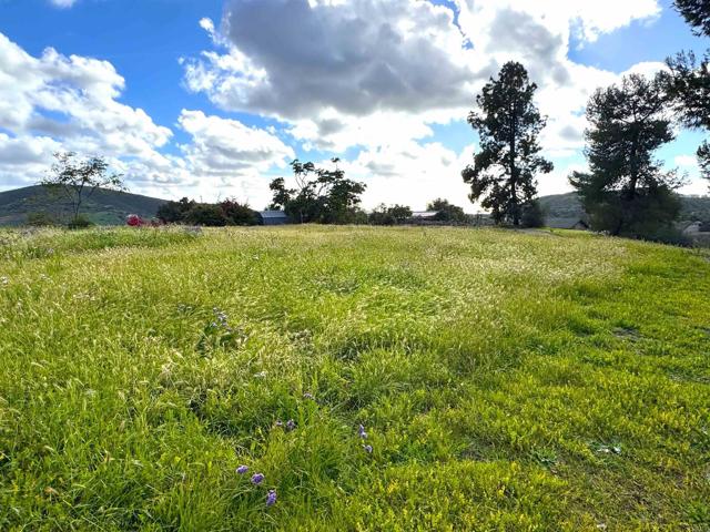 Detail Gallery Image 62 of 68 For 710 Buena Creek Rd, San Marcos,  CA 92069 - 3 Beds | 3/1 Baths