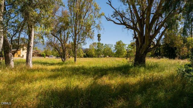 Detail Gallery Image 10 of 30 For 401 S Fulton St, Ojai,  CA 93023 - – Beds | – Baths