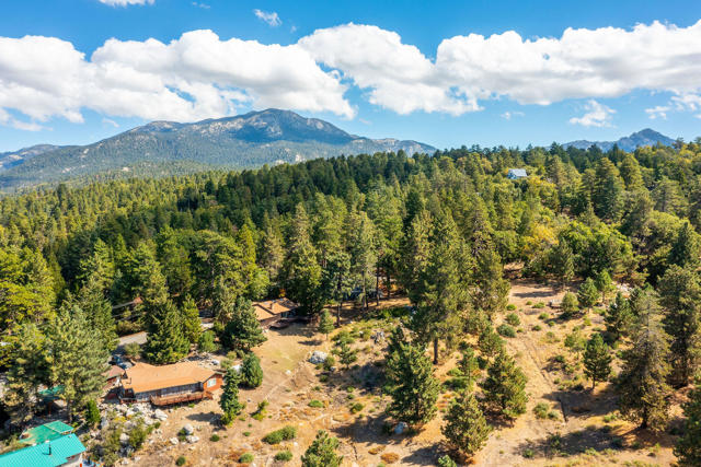 Drone View