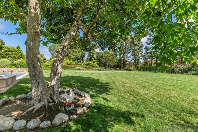 6351 Lago Lindo, Rancho Santa Fe CA: https://media.crmls.org/mediaz/b1413b68-3b52-4527-8f6a-cf61241b66eb.jpg