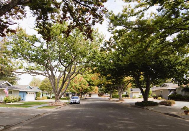 1528 Willowdale Drive, San Jose CA: https://media.crmls.org/mediaz/b1417803-3685-4e00-aec5-fa00debcf9c3.jpg