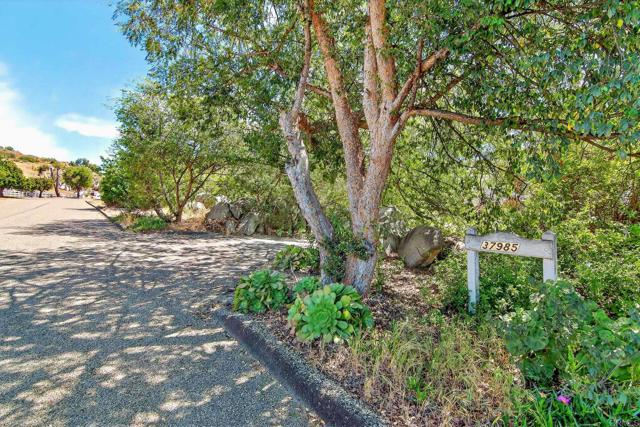 Front Image Thumbnail for CRPTP2602654