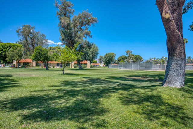 Image 45 of 47 For 35981 Novio Court