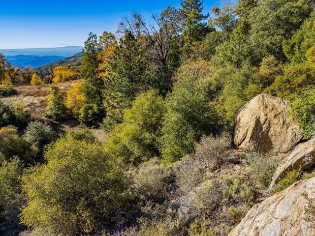 Detail Gallery Image 25 of 33 For 0 State Park Rd, Palomar Mountain,  CA 92060 - – Beds | – Baths