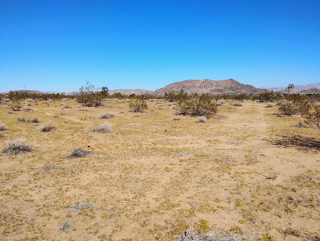 MLS #219138097DA image #10