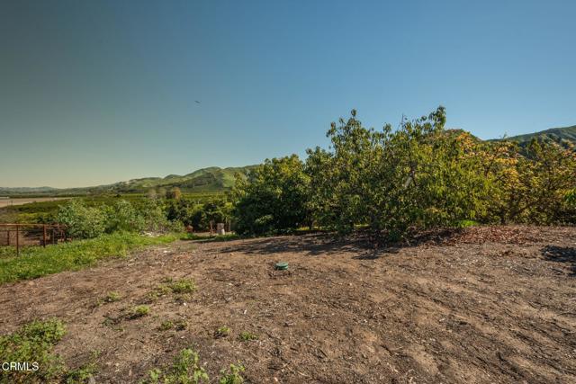 Detail Gallery Image 41 of 62 For 20296 S Mountain Rd, Santa Paula,  CA 93060 - 4 Beds | 3 Baths