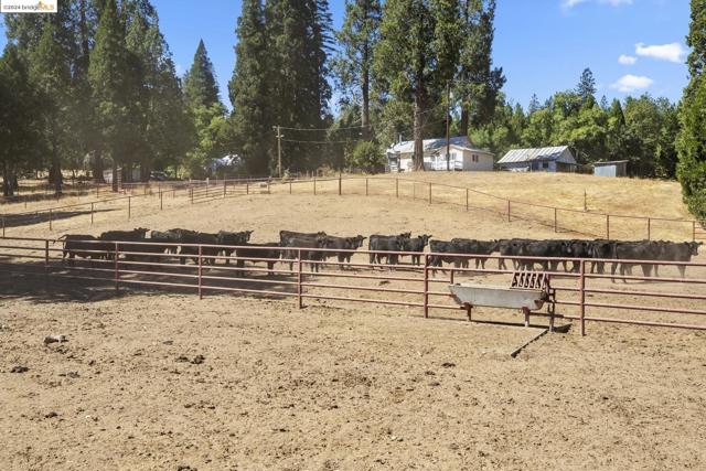 10488 Converse RD, Coulterville CA: https://media.crmls.org/mediaz/b16de70f-e3d5-4d82-8010-9041596d4c04.jpg