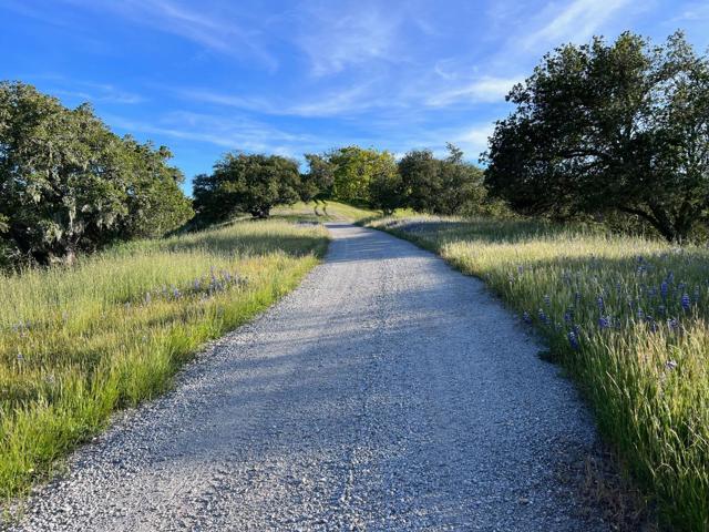 Image 2 of 41 For 28000 Underwood Road