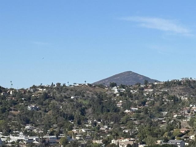 Detail Gallery Image 59 of 60 For 10050 Cristobal Dr, Spring Valley,  CA 91977 - 5 Beds | 2 Baths