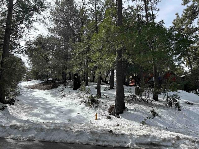 Image 2 for 8 Saunders Meadow Rd, Idyllwild, CA 92549