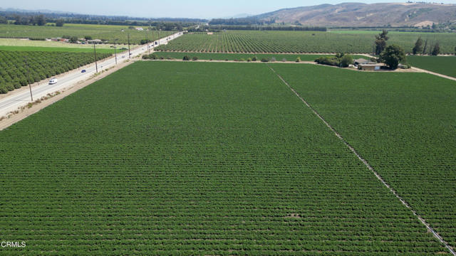 Front Image Thumbnail for CRV1-26649