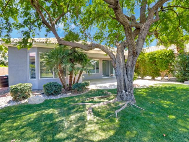 80418 Dumphries Court, Indio CA: https://media.crmls.org/mediaz/b1a1cca9-ea73-4dc8-87b3-e179137e36d3.jpg