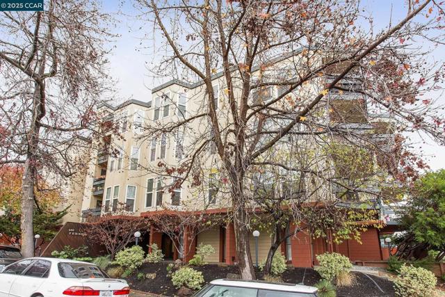 500 Vernon, Oakland CA: https://media.crmls.org/mediaz/b1a7b72b-dcca-49bc-933e-2052ef37f4a7.jpg