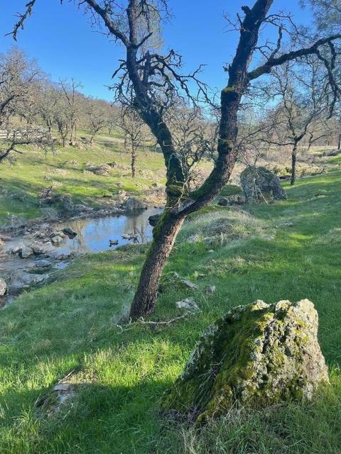 0 Avacado Road, Oroville CA: https://media.crmls.org/mediaz/b1af9f4e-a2c3-4435-8ef8-e7997efe385a.jpg