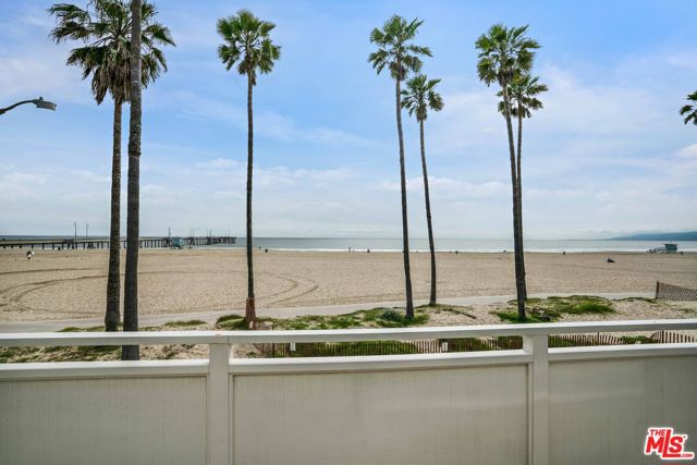 2909 Ocean Front Walk photo 11