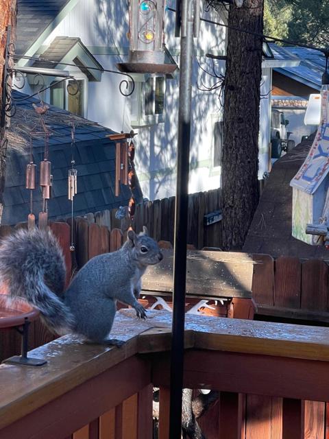 525 Angeles Boulevard, Big Bear CA: https://media.crmls.org/mediaz/b1bf1c64-3f40-4e5d-ab98-52e0d8e03f90.jpg