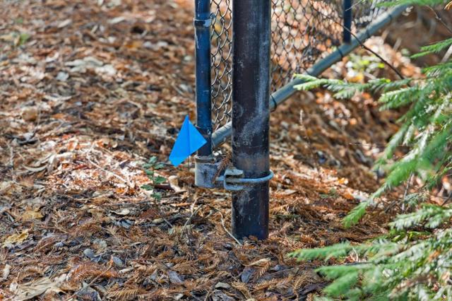 19089 Skyline Boulevard, Los Gatos CA: https://media.crmls.org/mediaz/b1c490ec-afa9-45f5-8a6b-71afa5550965.jpg