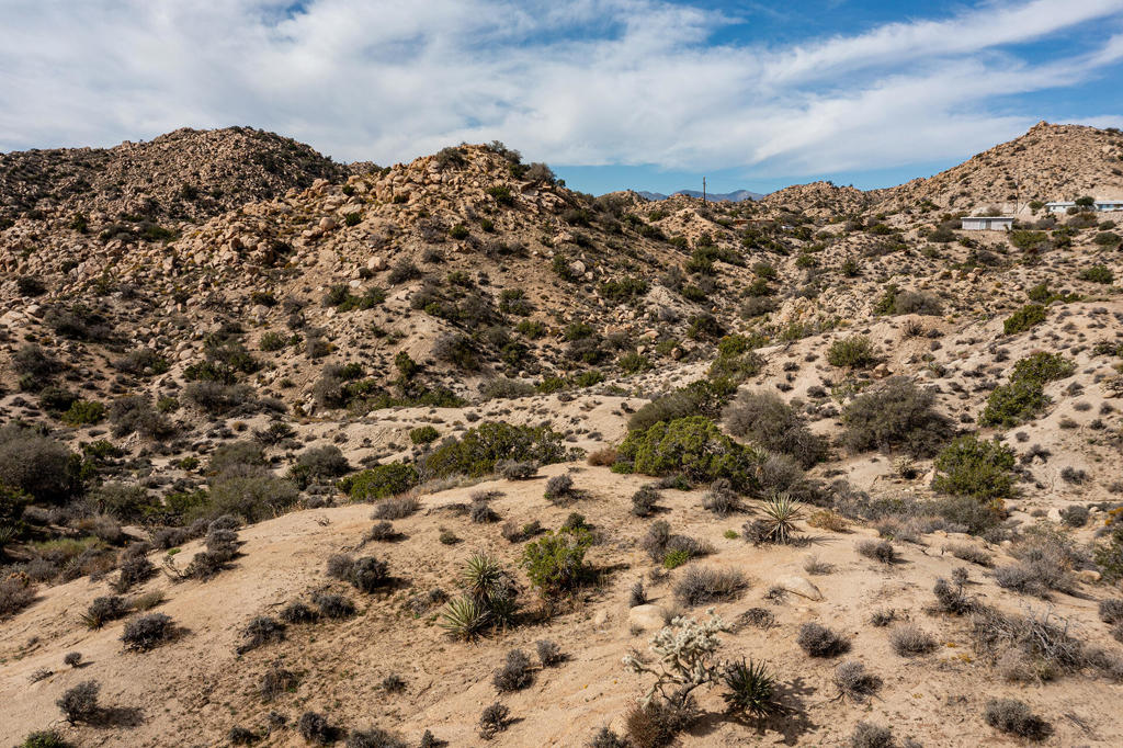 MLS #219138040PS image #6