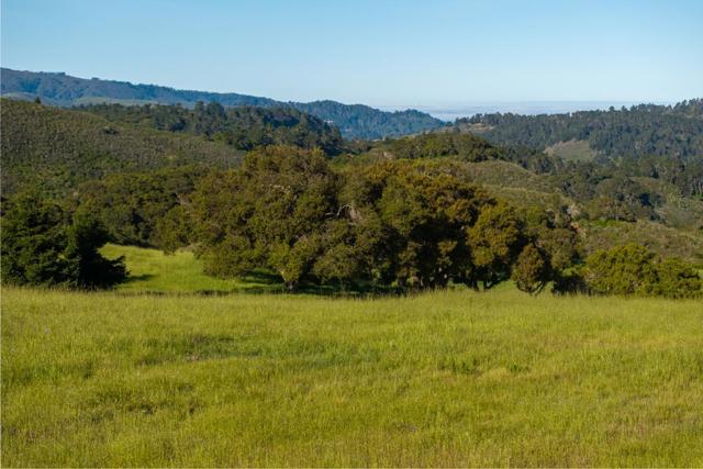 25825 Via Malpaso (Lot 68), Carmel CA: https://media.crmls.org/mediaz/b1d4fe12-909a-40f1-b2c3-f5afff461e79.jpg