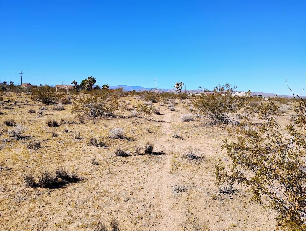 MLS #219138097DA image #8