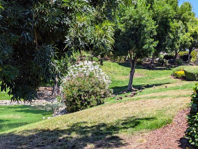 8442 Chenin Blanc Lane, San Jose CA: https://media.crmls.org/mediaz/b1dde5e4-2ac8-4fc9-b5d0-9a99cb153a3a.jpg
