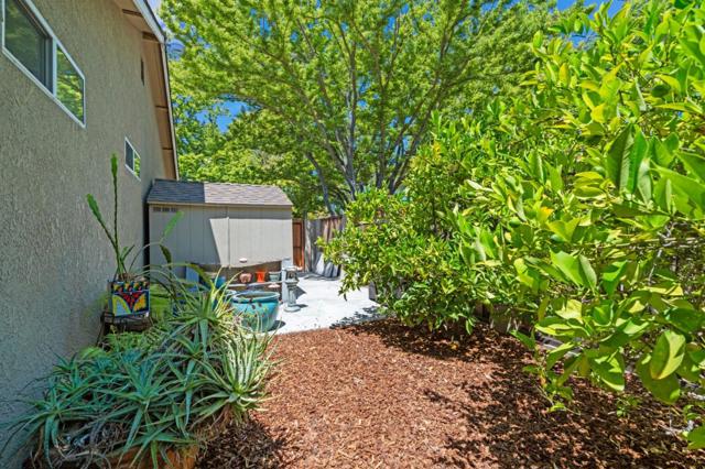 6230 Mahan Drive, San Jose CA: https://media.crmls.org/mediaz/b1e064f7-b3a8-42cf-b3df-e877366f0d44.jpg