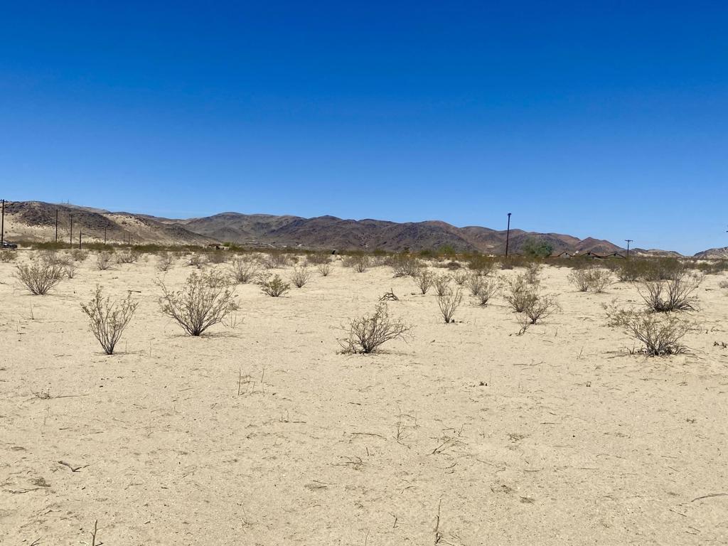 MLS #219133463PS image #8