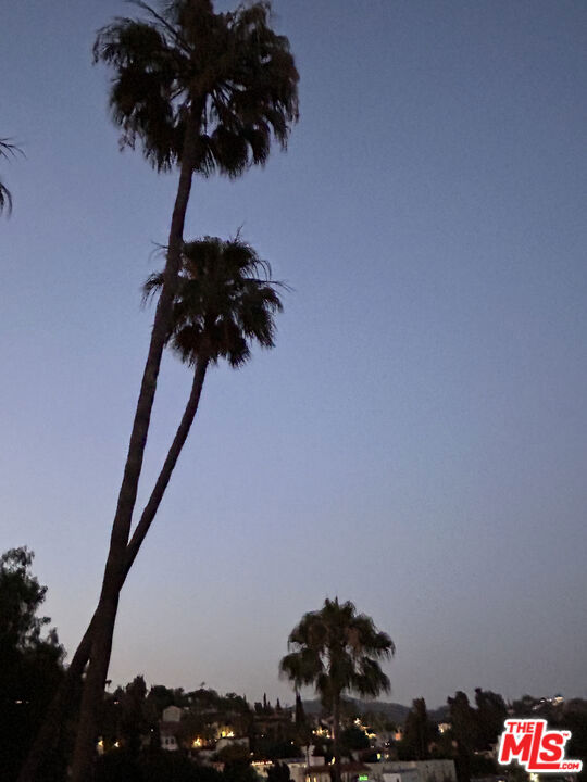 2004 Vine Street, Los Angeles CA: https://media.crmls.org/mediaz/b1f26d76-bb36-460d-8b9f-16cfe0e3f69b.jpg