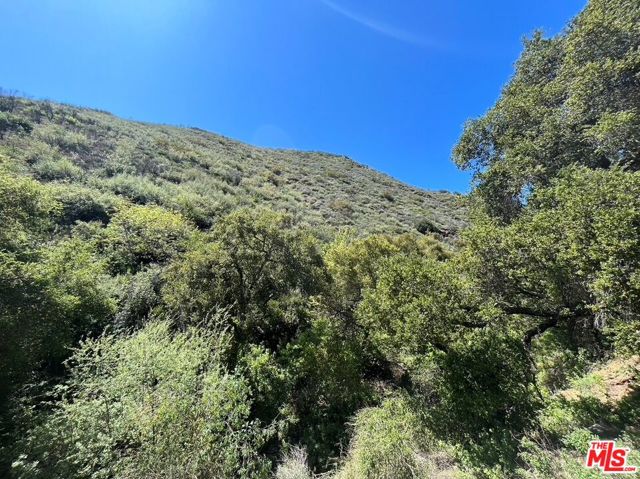 123 Cotharin Road, Malibu CA: https://media.crmls.org/mediaz/b1f31964-2691-4f79-960f-c06495579a8a.jpg