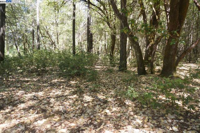 4271 State Hwy 299 Rd, Salyer CA: https://media.crmls.org/mediaz/b1f35886-7cb9-4700-aa33-05916ff0af5f.jpg