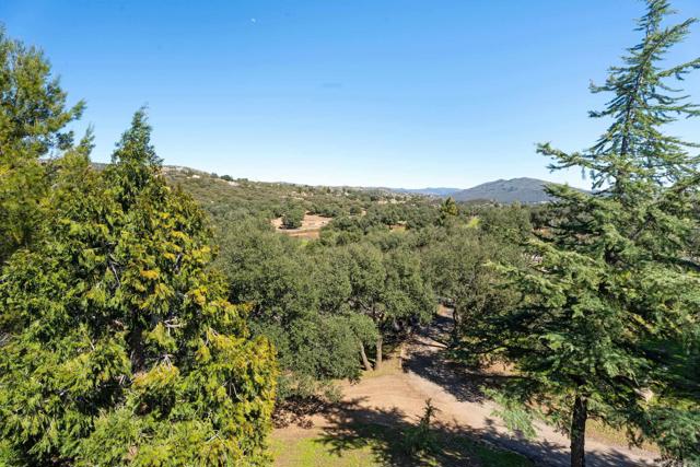 10172 Boulder Creek Road, Descanso CA: https://media.crmls.org/mediaz/b1fdf9d4-eae8-4097-969c-cd47bc7bb765.jpg